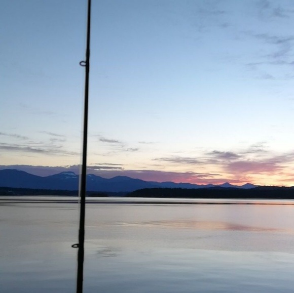 Meet your Posher, Hazel - Picture 1 of 1